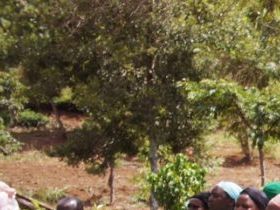 Women on frontline to mitigate climate change